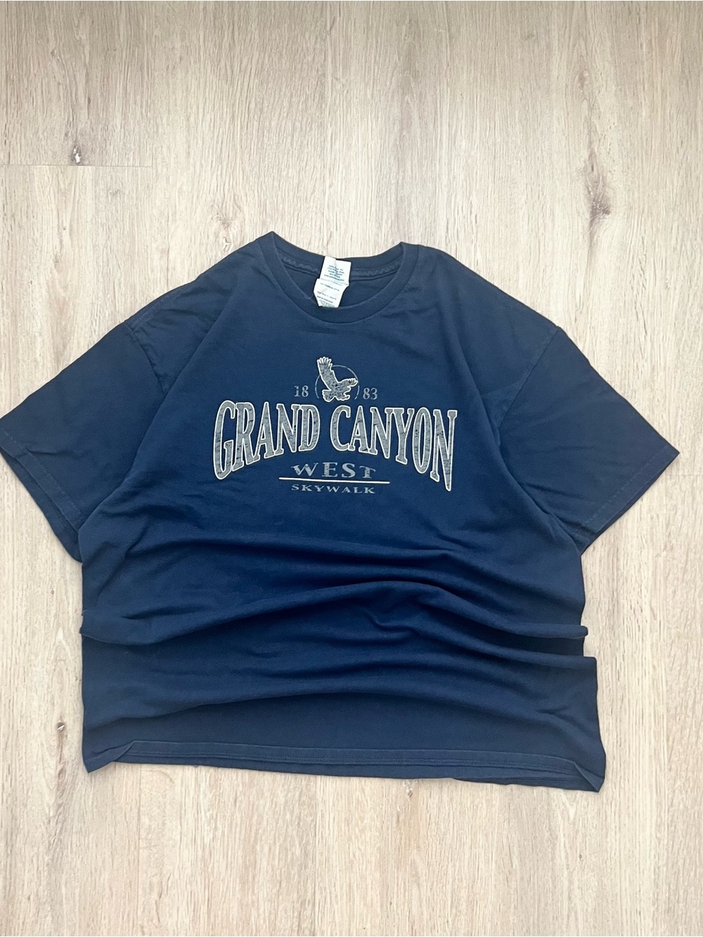 Vintage Grand Canyon National Park T Shirt Mens Large Blue Delta Organic Arizona
